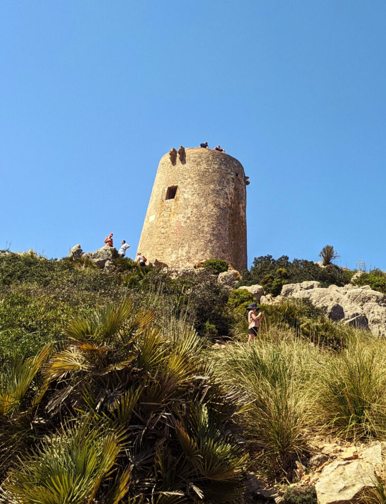 albercutx watchtower
