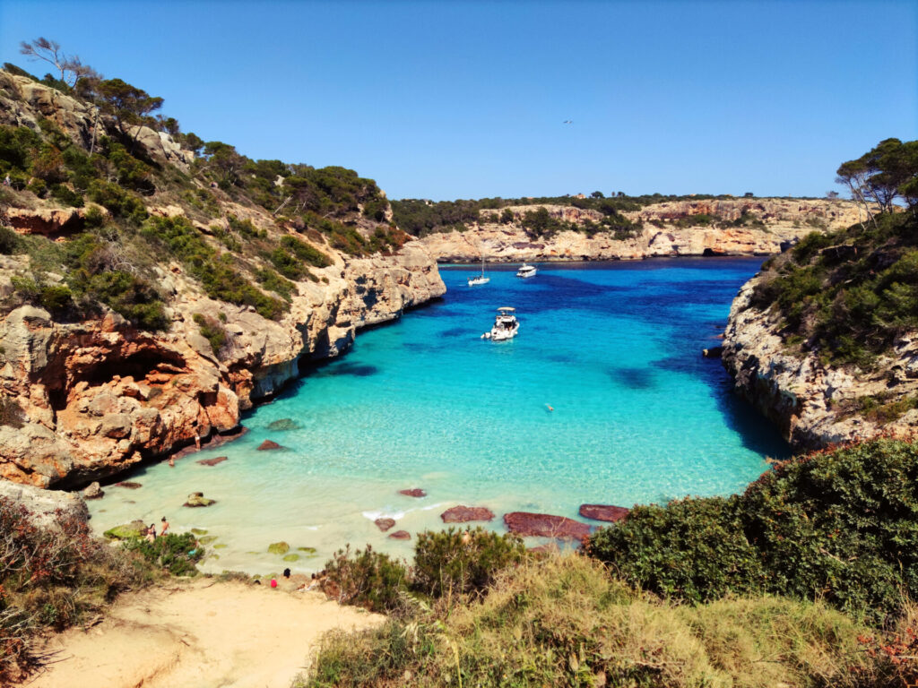calo de moro