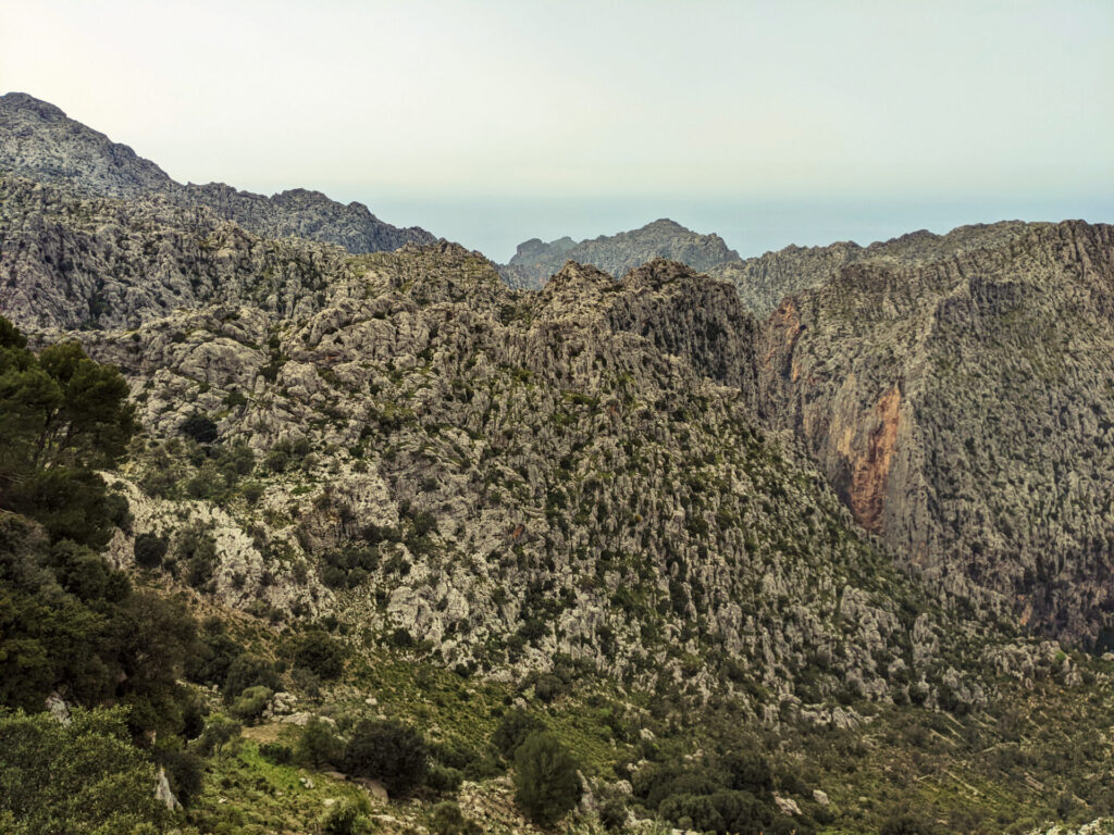 Mirador de s'entrefroc
