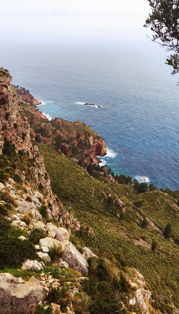 Mirador Ricardo Roca