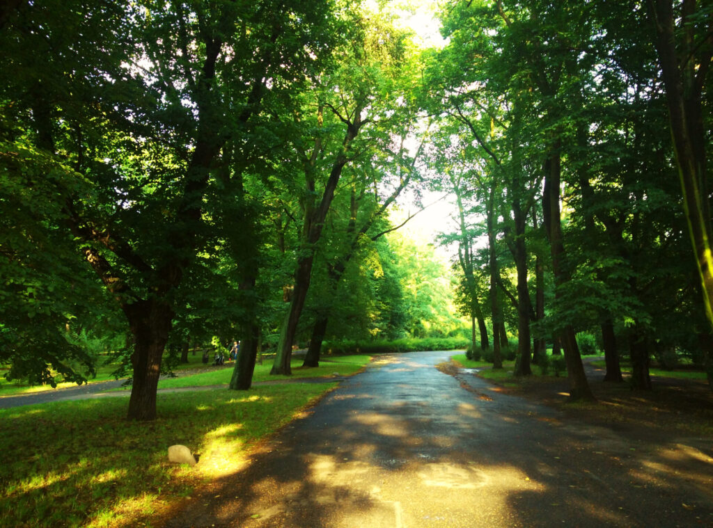 parc wroclaw