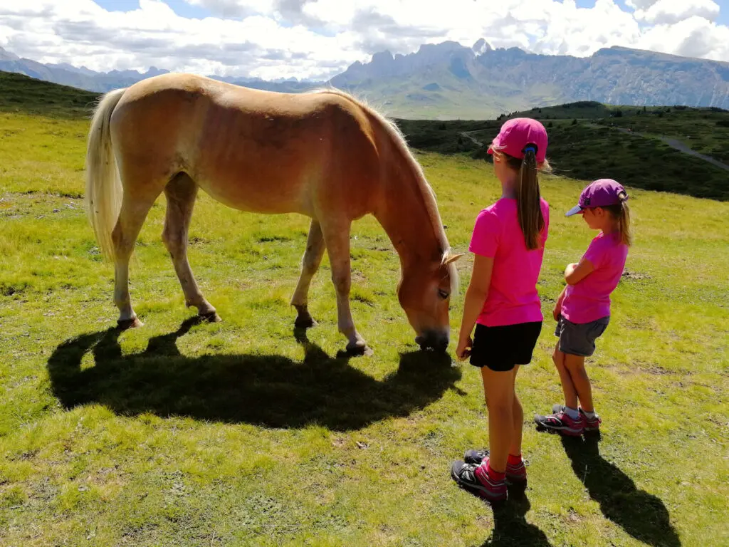 Les 16 plus beaux paysages des Dolomites