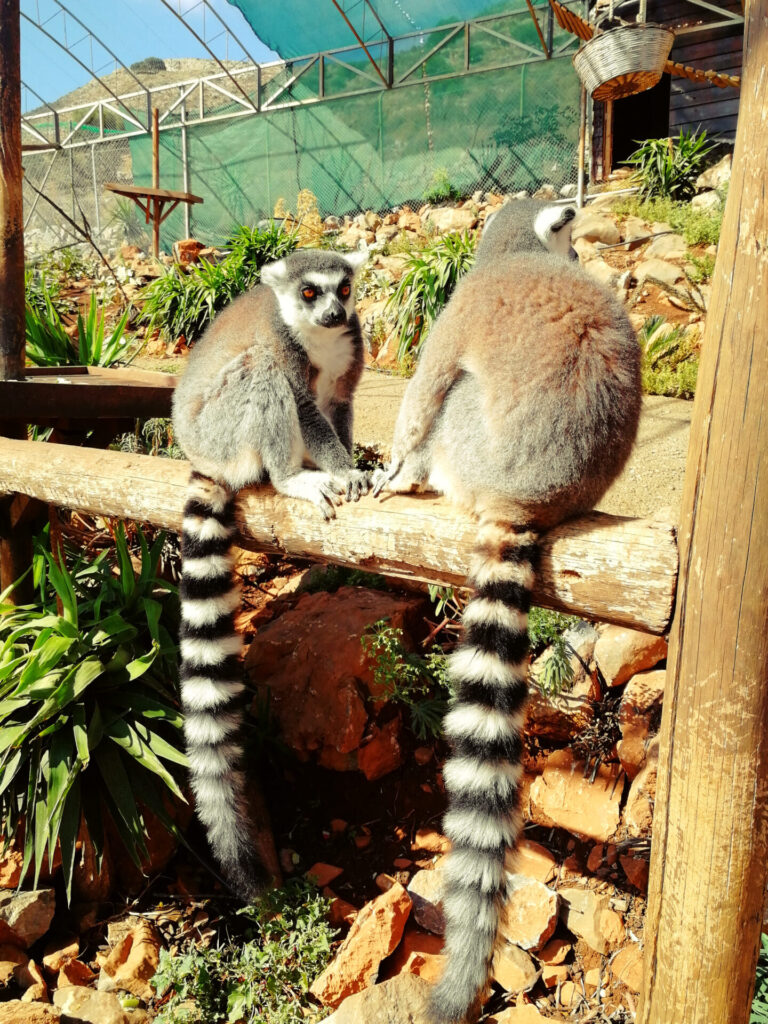 amazonas park
