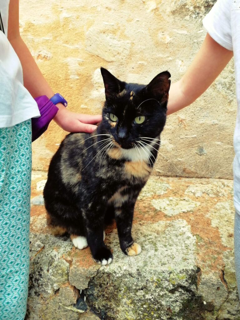 chat rethymnon