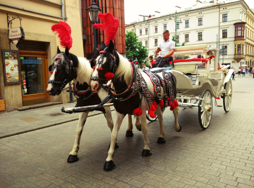 calèche cracovie