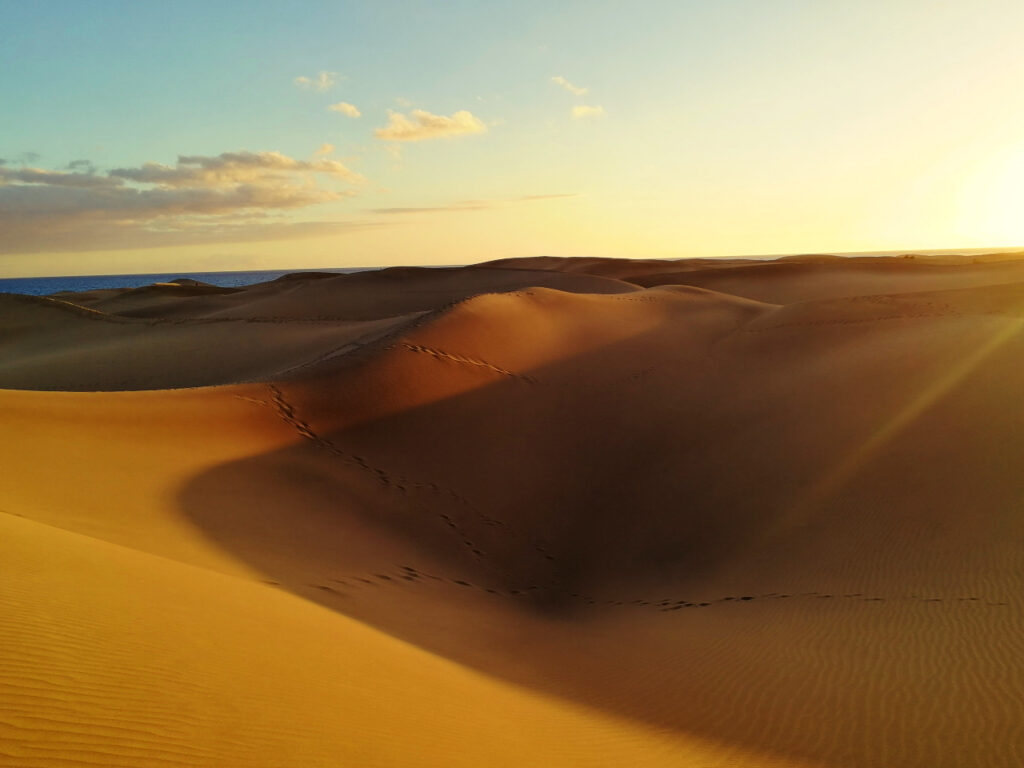 dunes de maspalomas