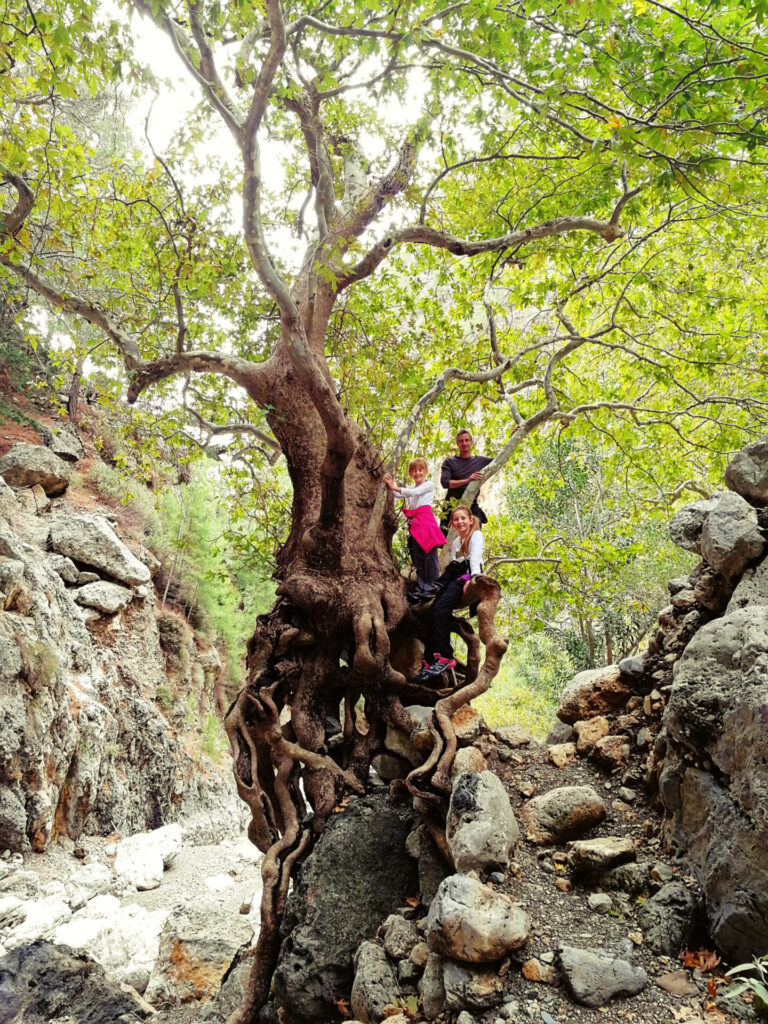 gorges agia irini