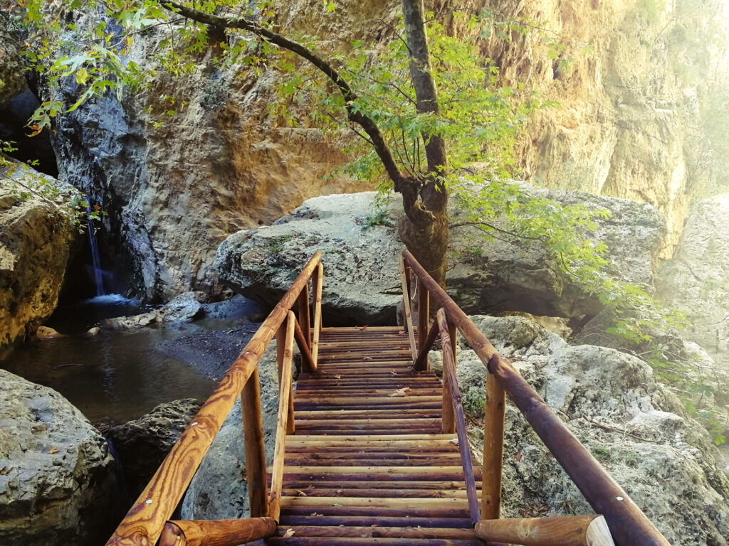 gorges patsos