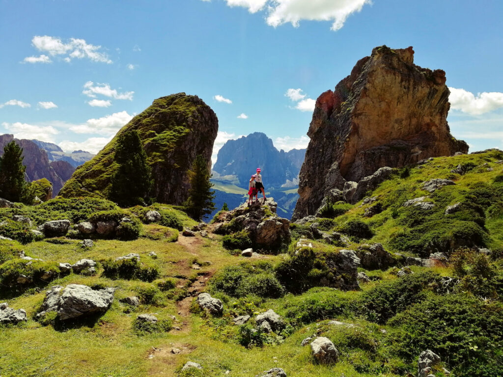 seceda