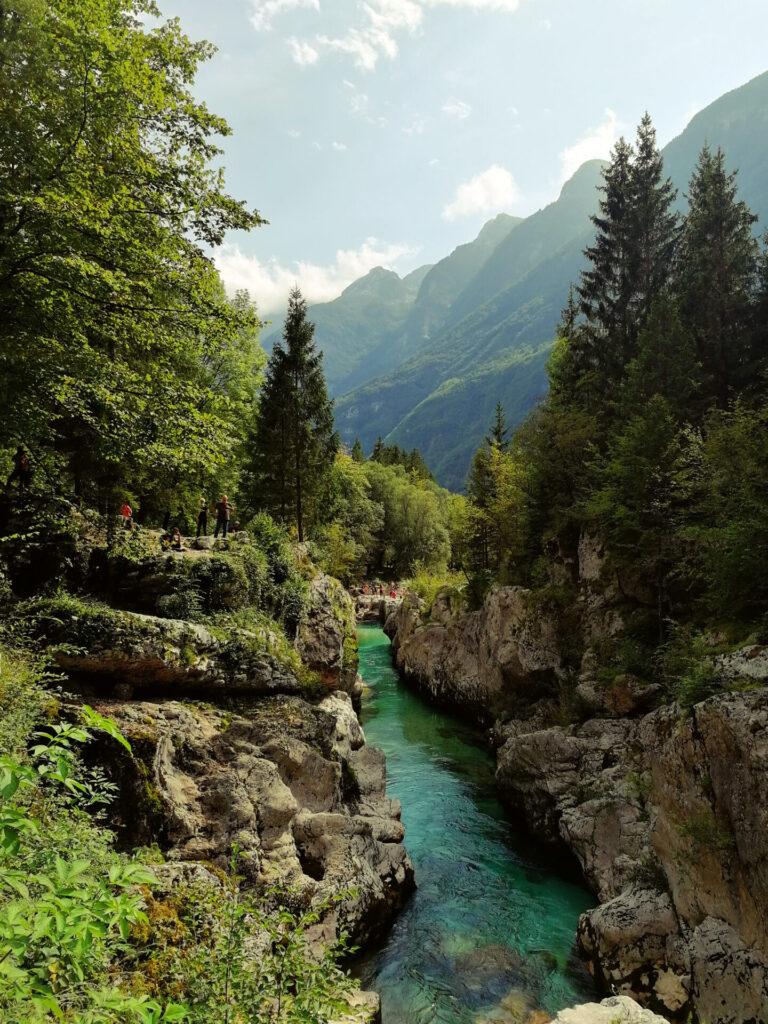 la soca