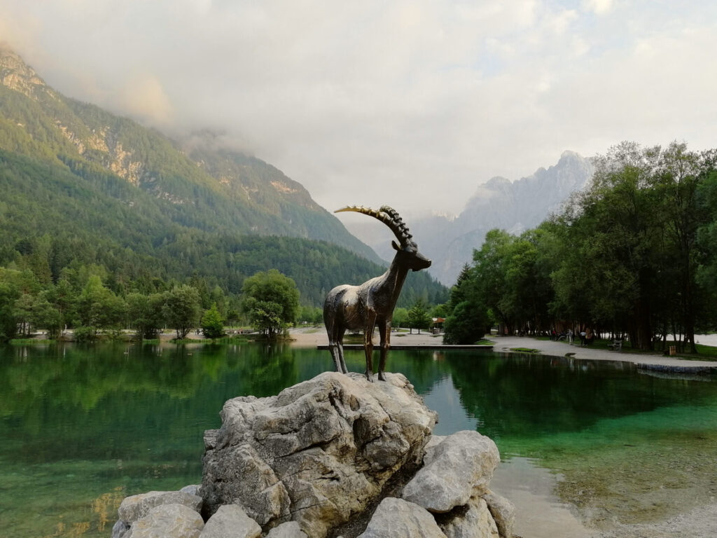 lac jasna