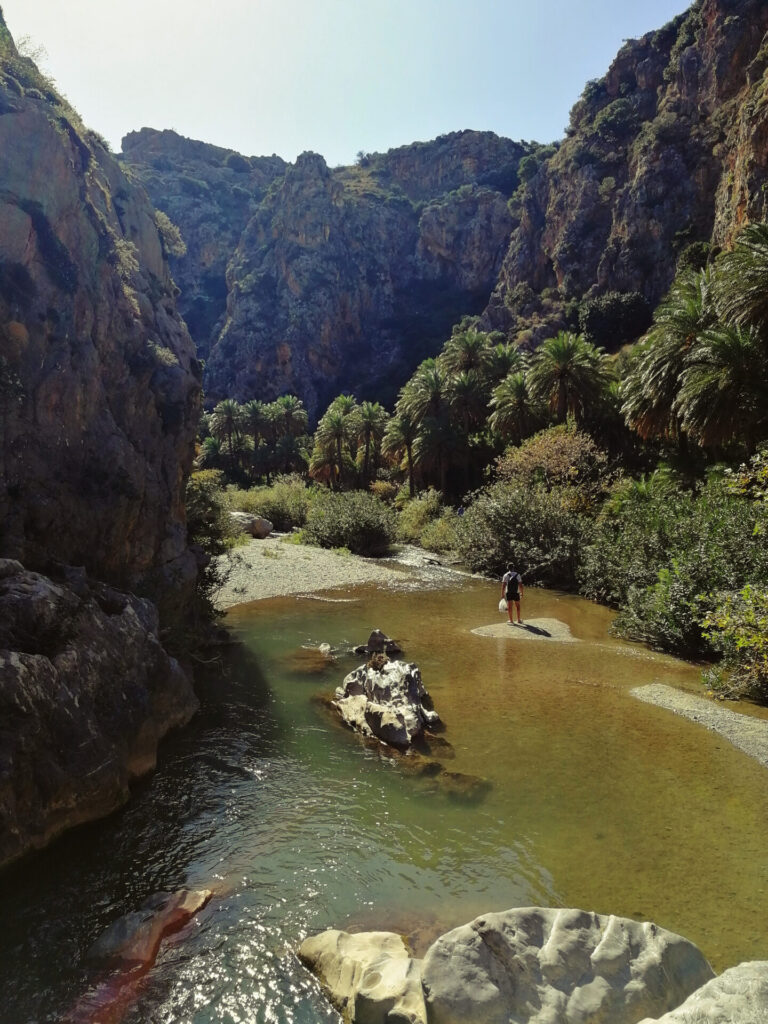 palmeraie preveli