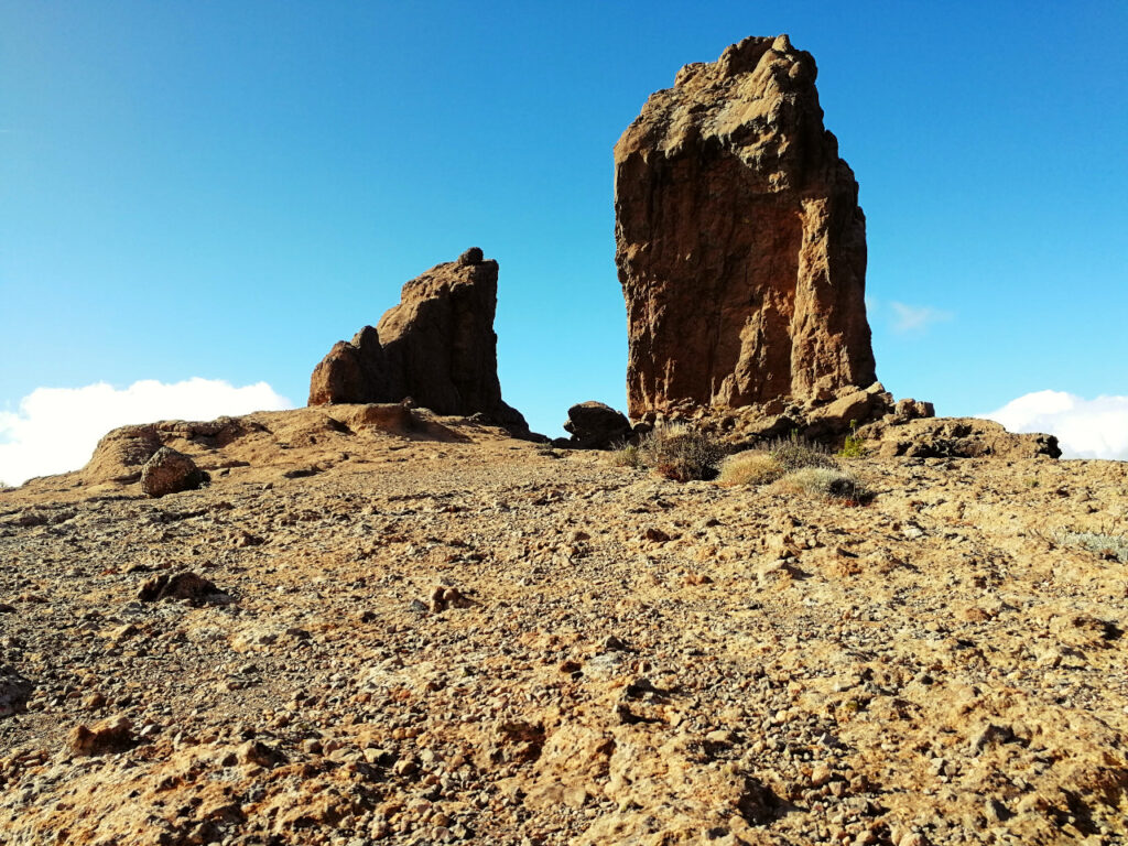 roque nublo