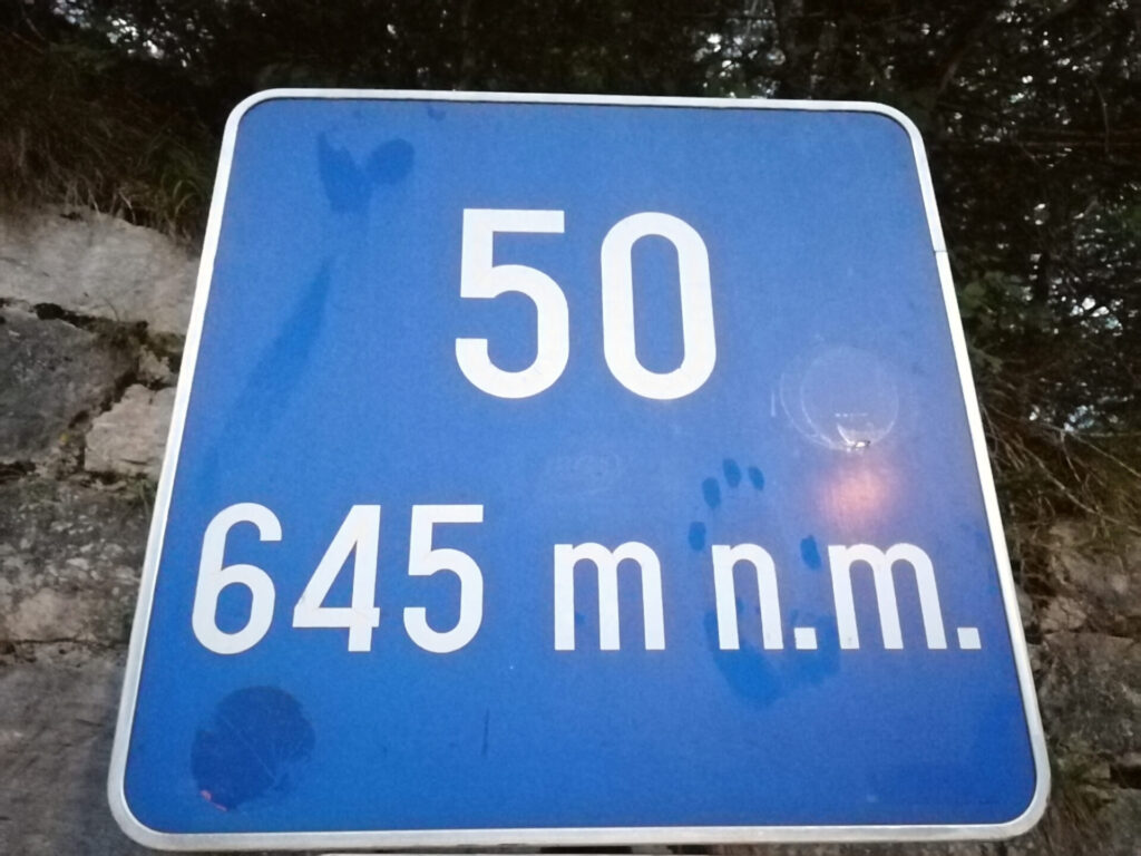 route 206