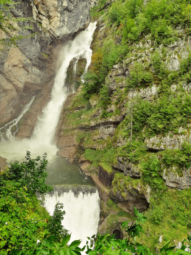 cascade savica