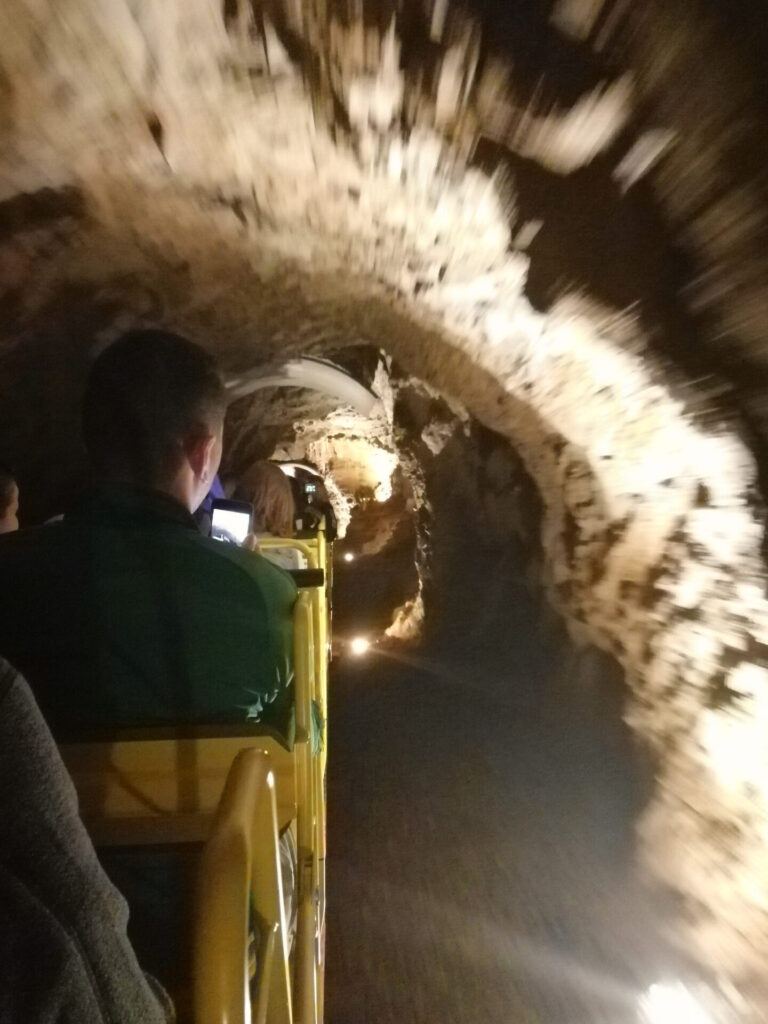 grotte de postojna petit train