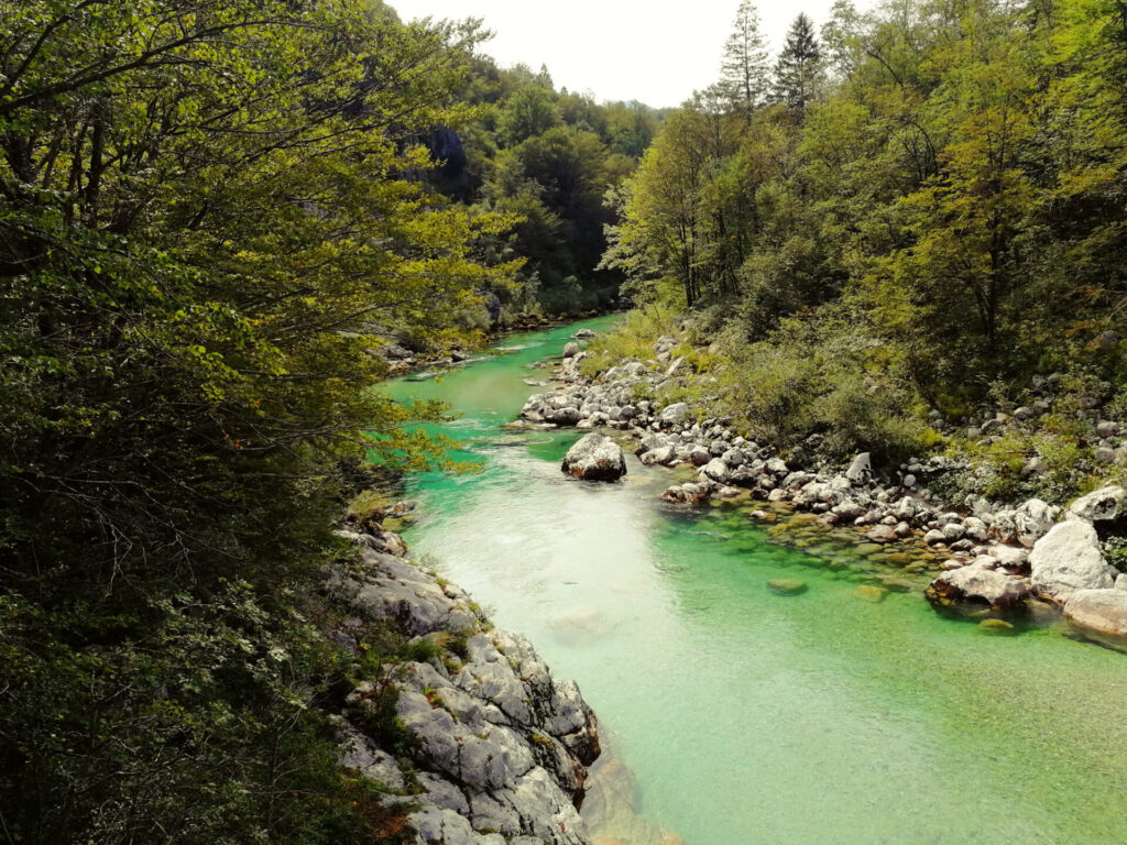 vallée de la Soca