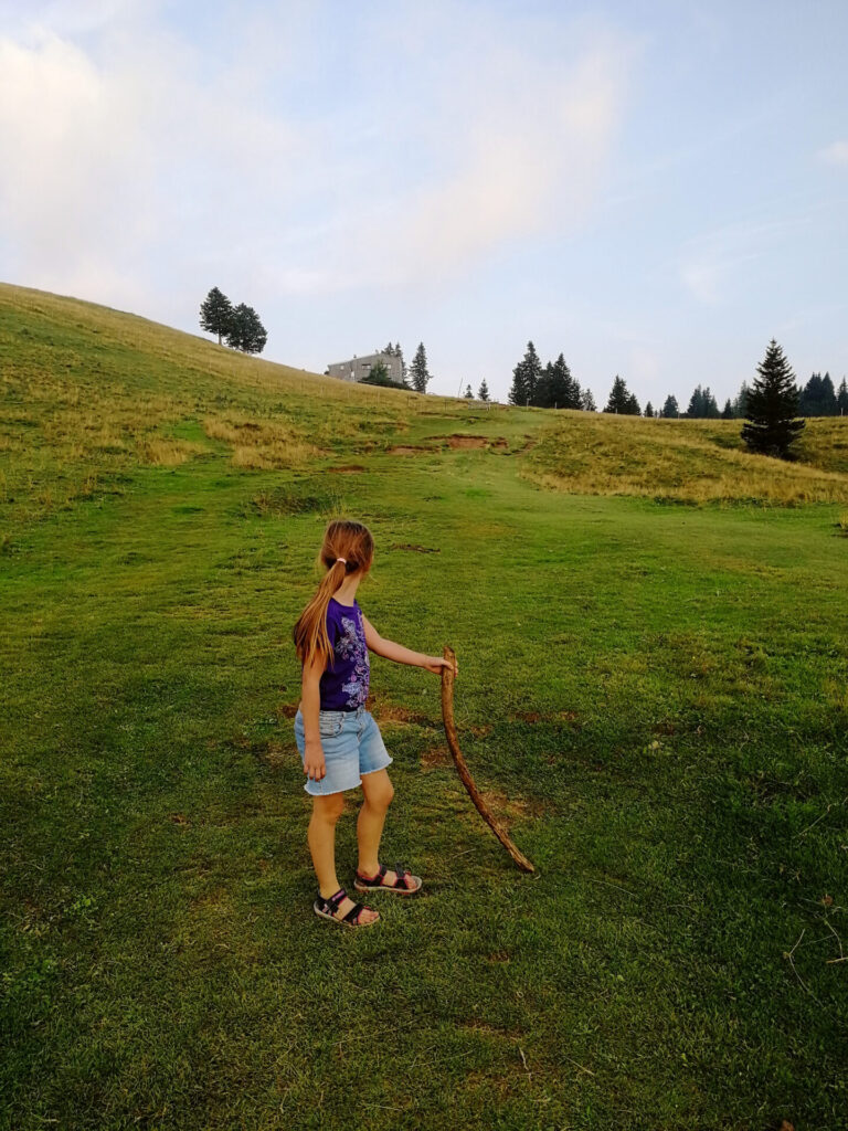 velika planina