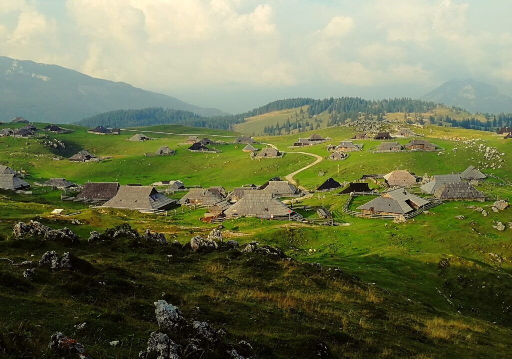 velika planina