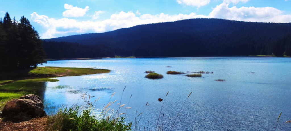 lac noir parc du Durmitor