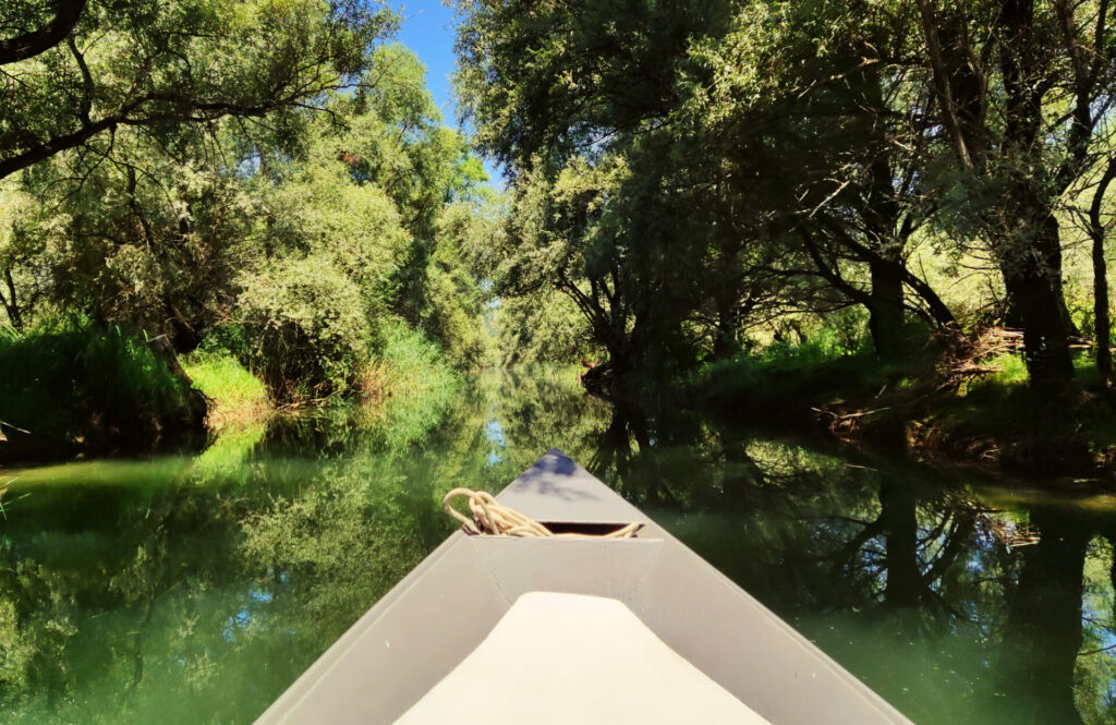lac skadar