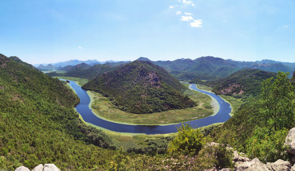 pavlova strana viewpoint