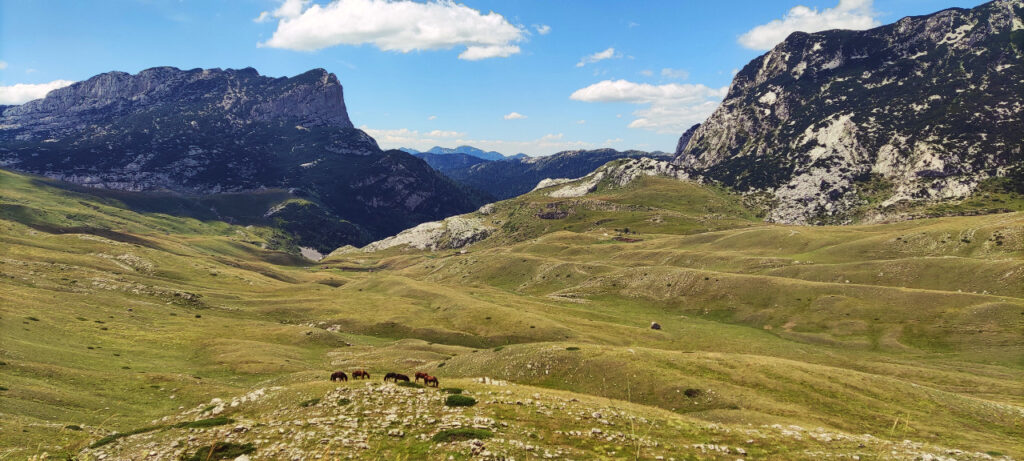 Route panoramique P14
