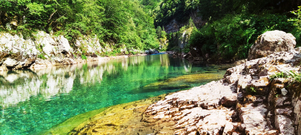 La tara, la plus belle rivière des Balkans
