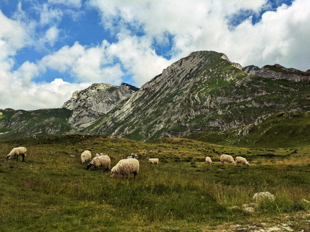 le mont prutas parc national du Durmitor