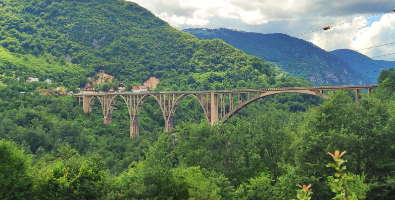 pont de la rivière Tara