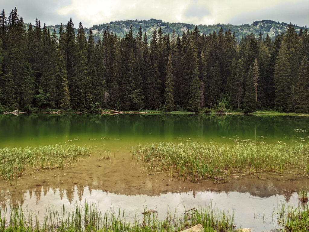 zminje jezero parc national du Durmitor