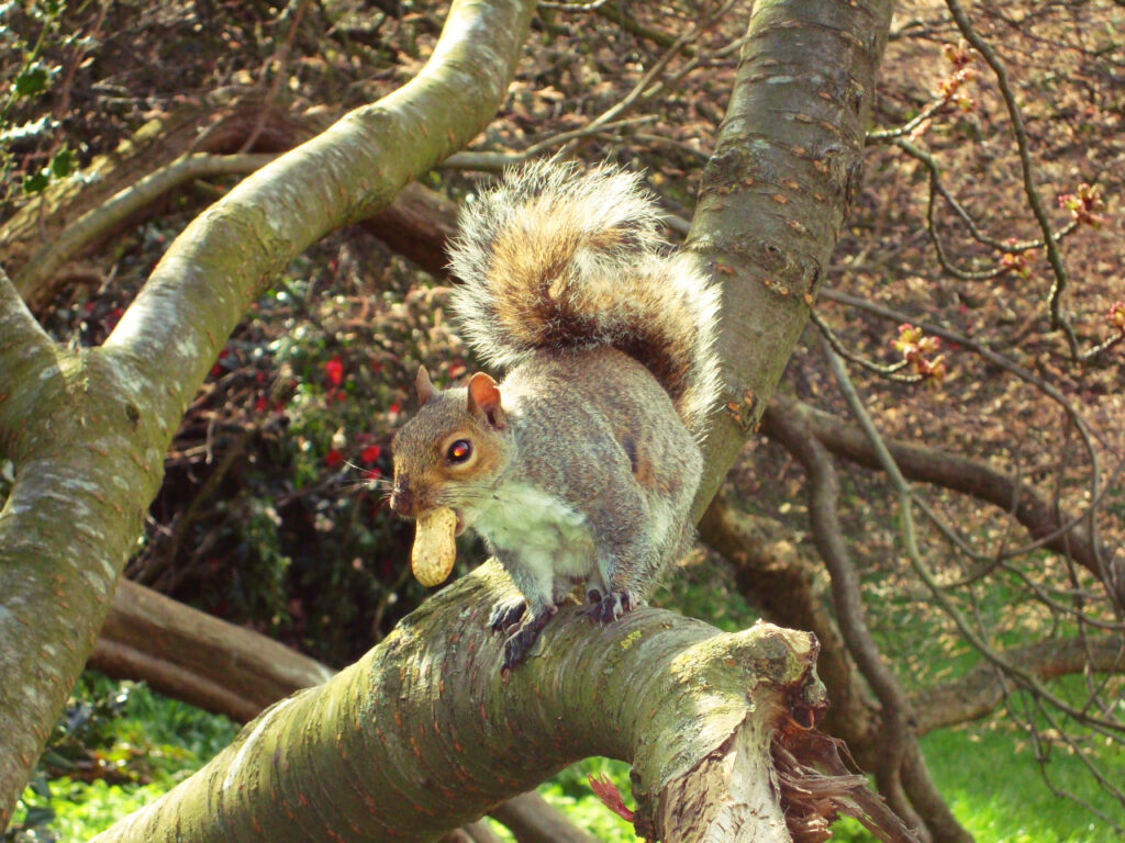 jolie rencontre dans un parc londonien