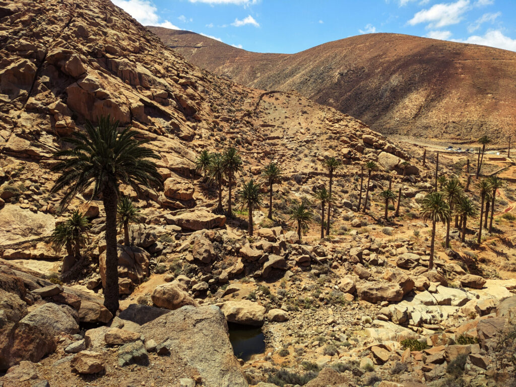 Barranco de las Penitas