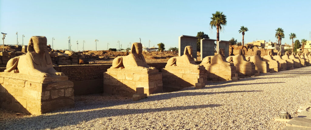 L'allée des sphinx