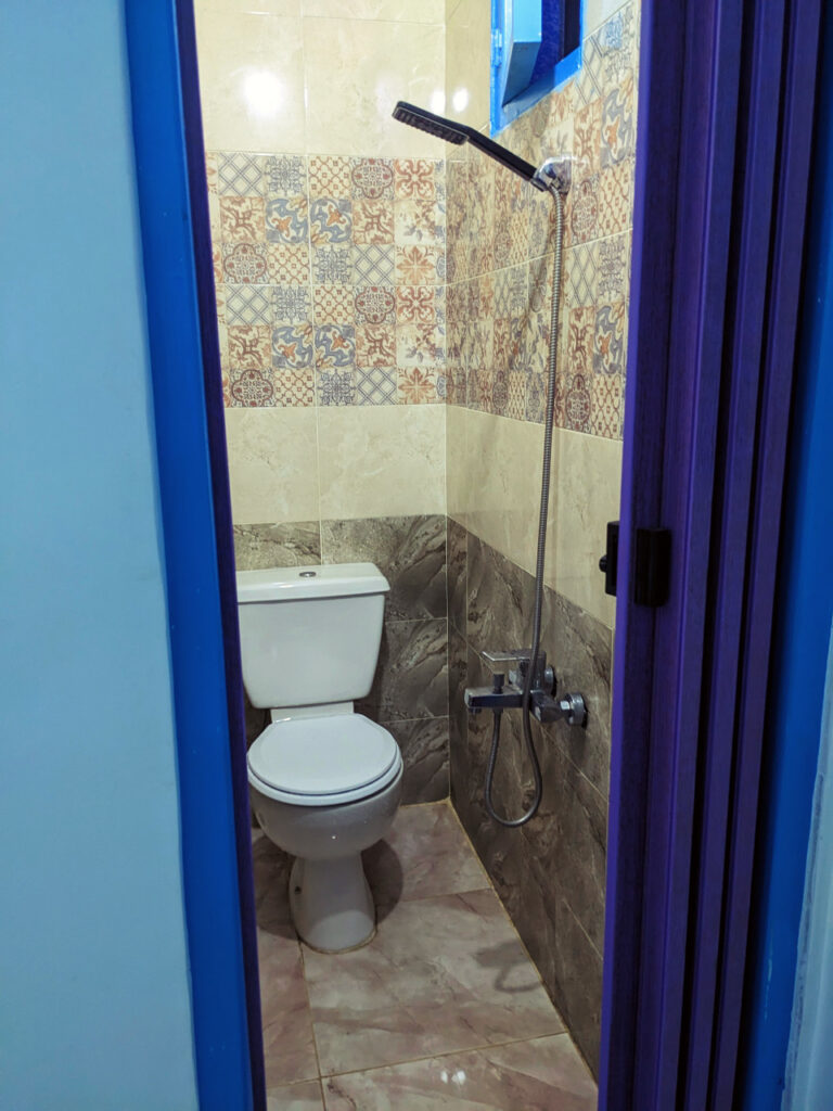 la douche dans les toilettes