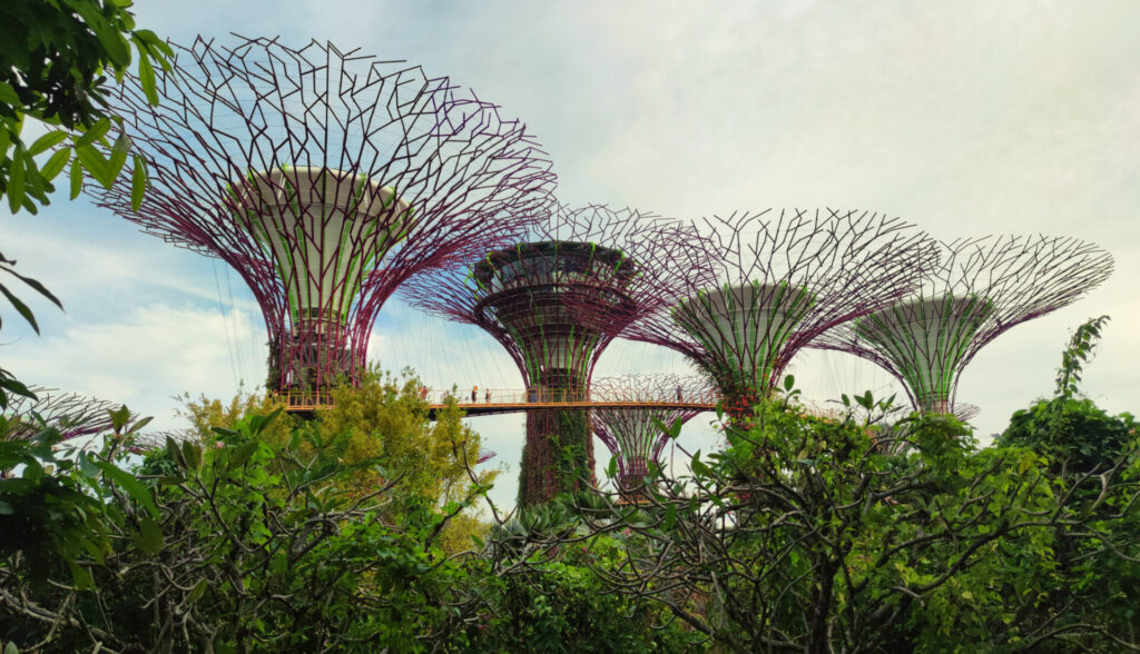 les supertrees singapour