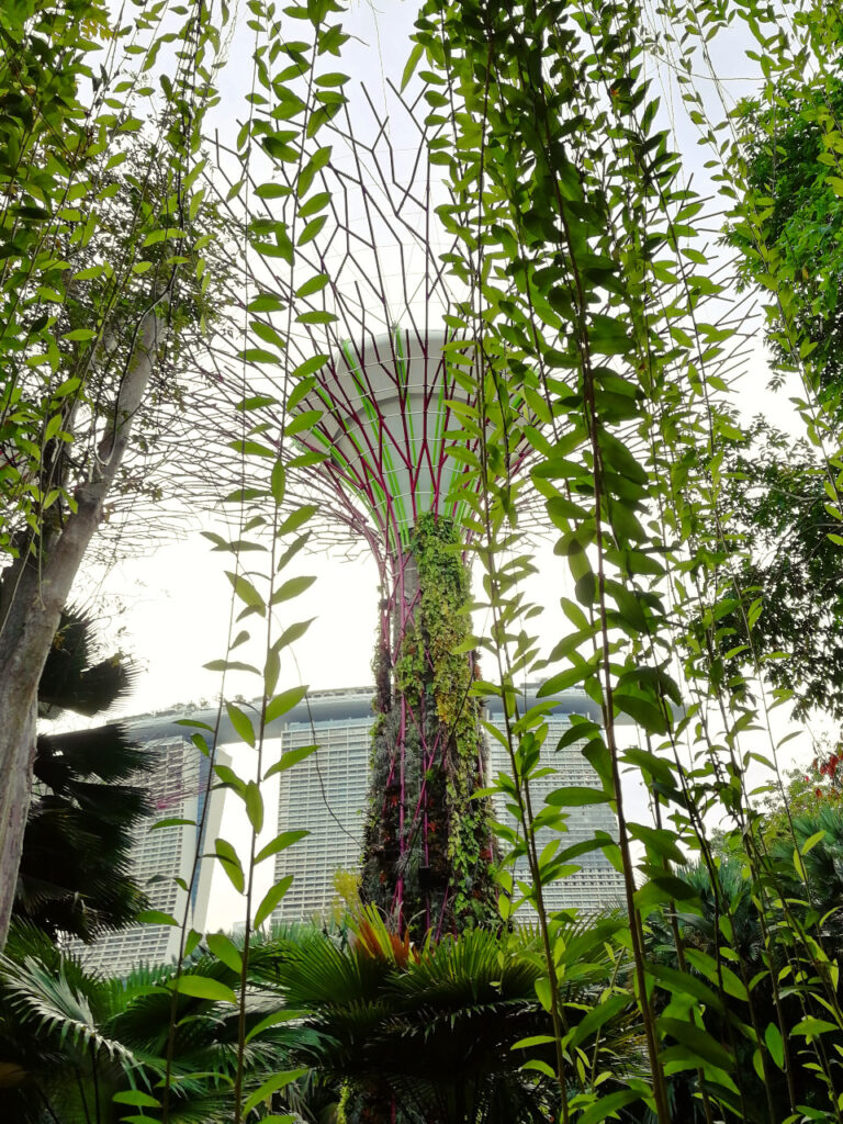 gardens by the bay