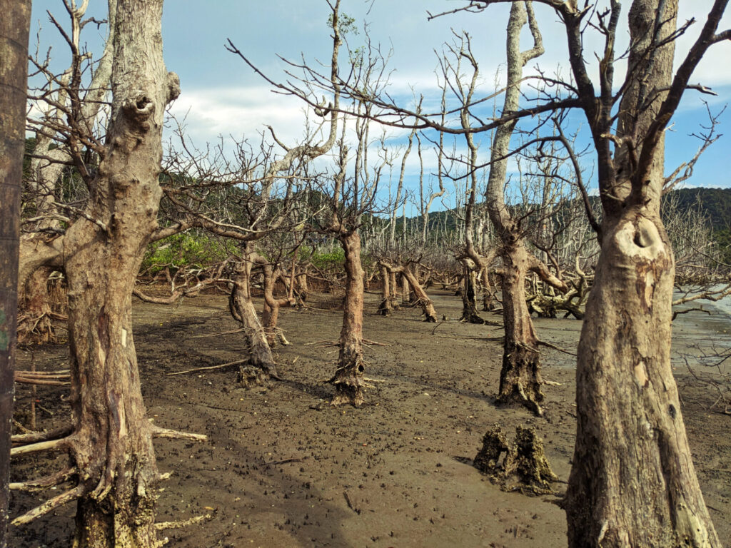bako national park